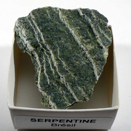 Serpentine - chrysotile du Brésil - boite de collection 4cm Serpentine - chrysotile du Brésil - boite de collection 4cm