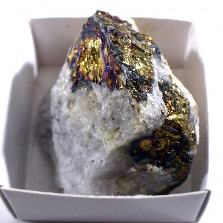 Chalcopyrite du Maroc - boite de collection 4cm