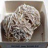 Rose des sables du Mexique - boite de collection 5cm