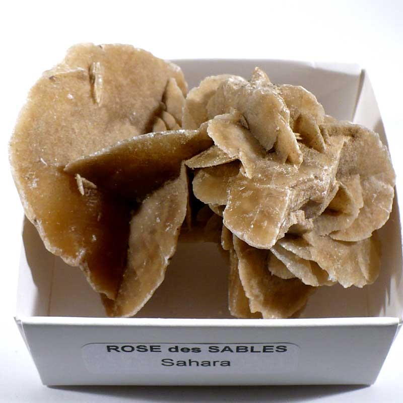 Rose des sables du Sahara - boite de collection 6cm