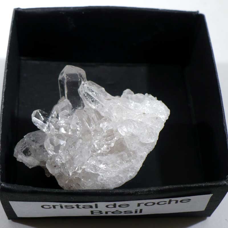 Quartz cristal de roche du Brésil - boite de collection 4cm