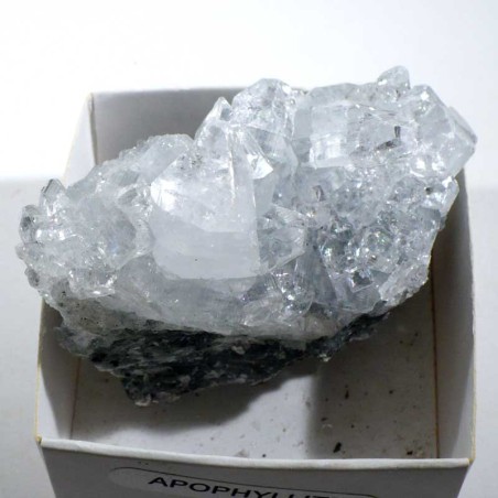 Apophyllite d'Inde - boite de collection 5cm