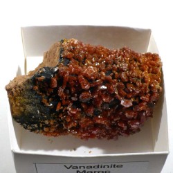 Vanadinite du Maroc - boite de collection 5cm