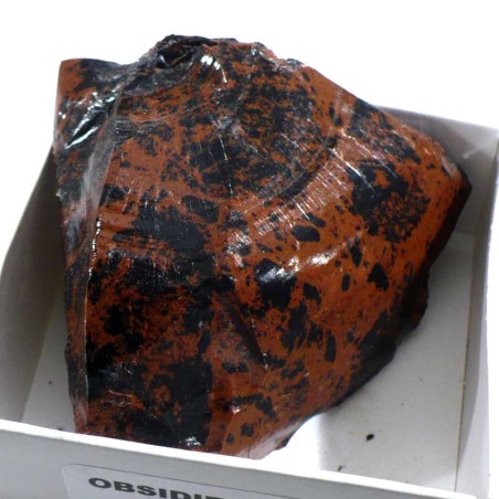 Obsidienne acajou du Mexique - boite de collection 6cm Obsidienne acajou du Mexique - boite de collection 6cm
