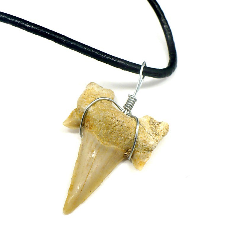 pendentif fossile dent de requin petite pendentif fossile dent de requin petite