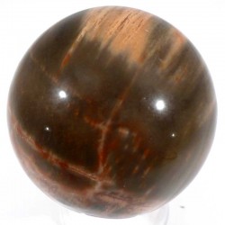 boule en bois fossile 5cm