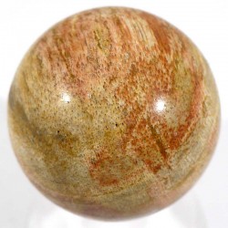 boule en bois fossile 3cm