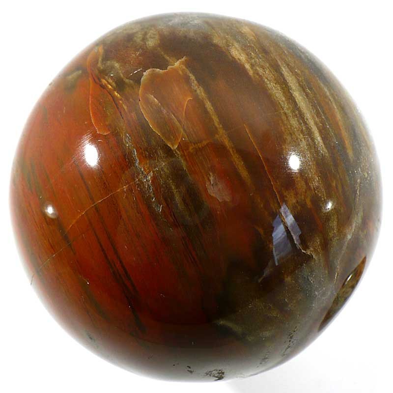 boule en bois fossile de Madagascar 7cm boule en bois fossile de Madagascar 7cm