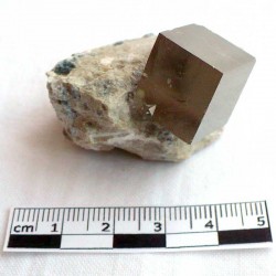 Pyrite de collection en cube