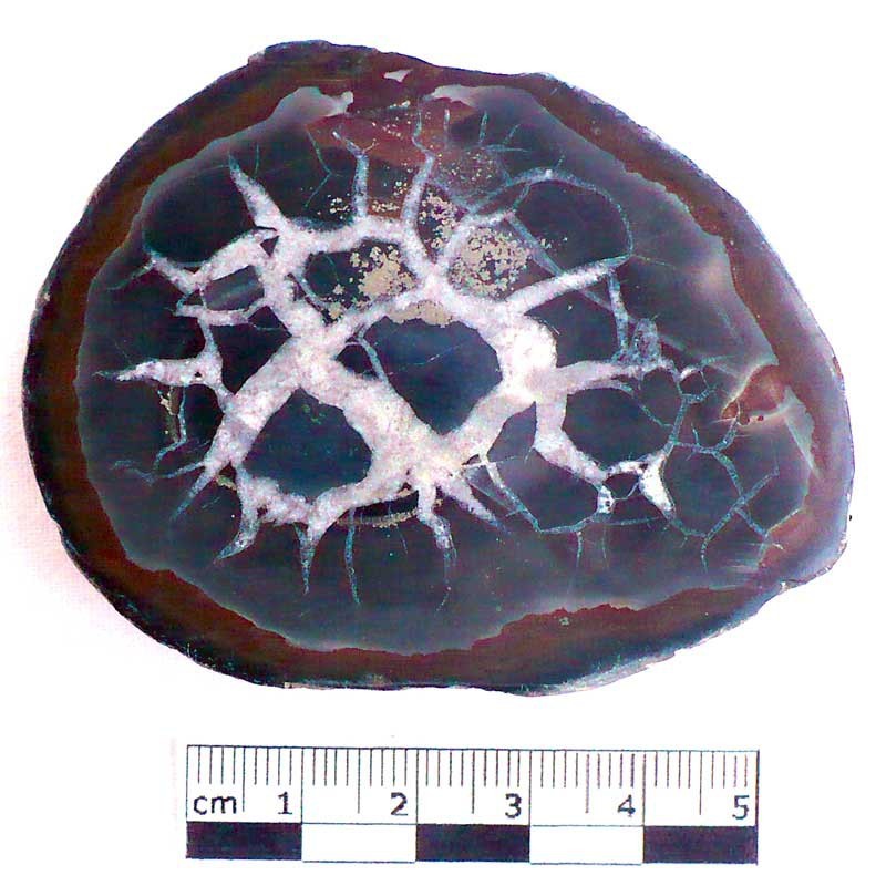Septaria avec pyrite du Maroc Septaria avec pyrite du Maroc