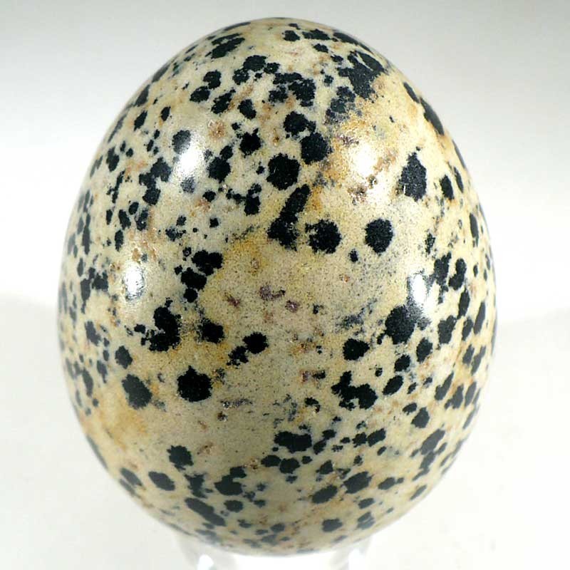 oeuf en jaspe dalmatien 6cm oeuf en jaspe dalmatien 6cm
