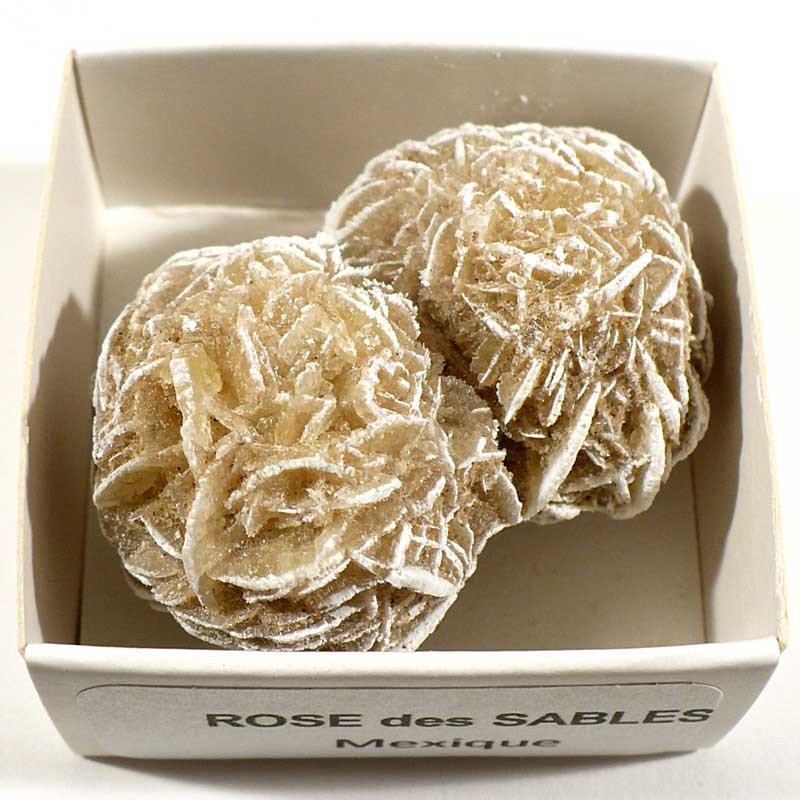 rosse de sable en 4 lettres