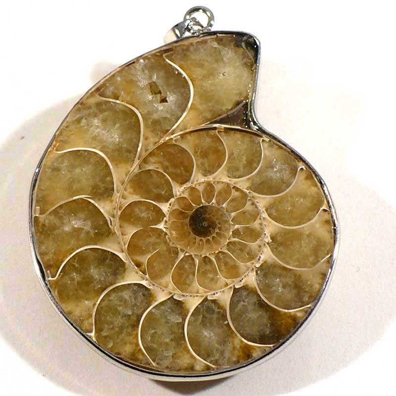 pendentif fossile en ammonite sertie
