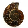 pendentif fossile en ammonite sertie