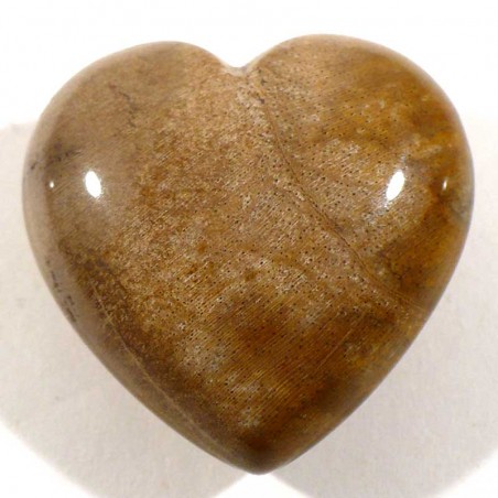 Pendentif coeur en bois fossile 3cm