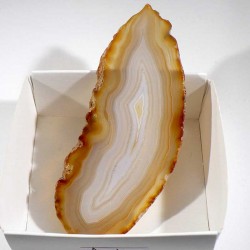 Agate marron du Brésil - boite de collection 6cm