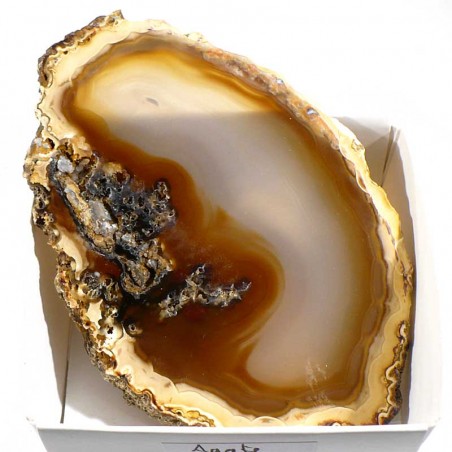 Agate marron du Brésil - boite de collection 6cm