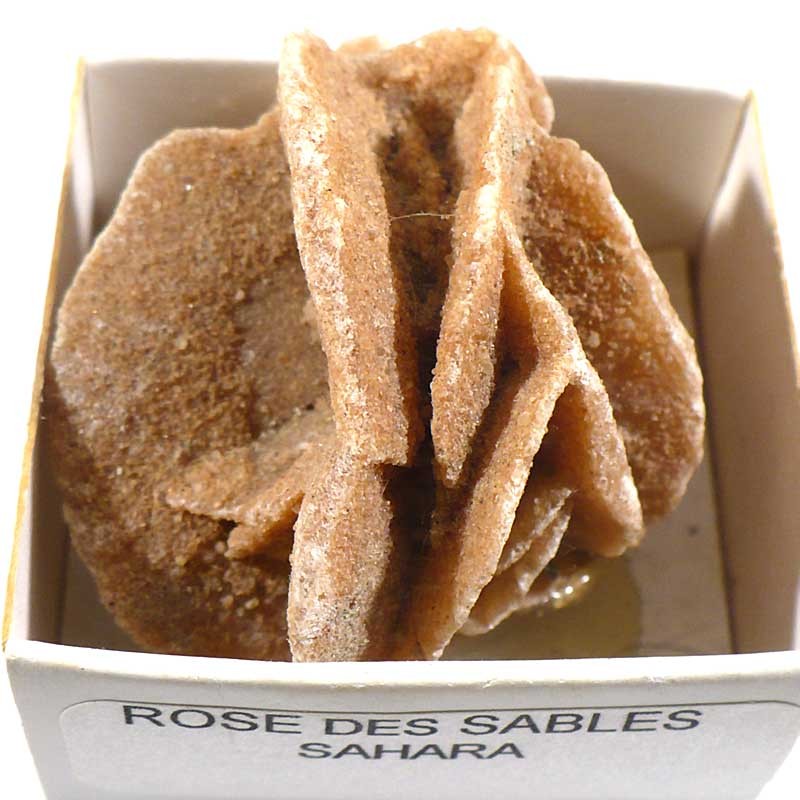 Rose des sables du Sahara - boite de collection 4cm